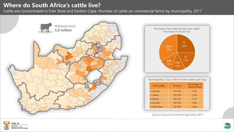 Foot-and-mouth: Where do the livestock live? | Statistics South Africa